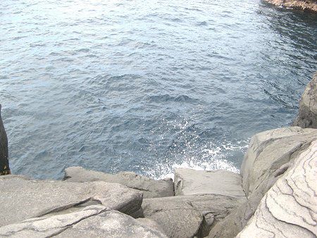 �ŏ��̒ނ��