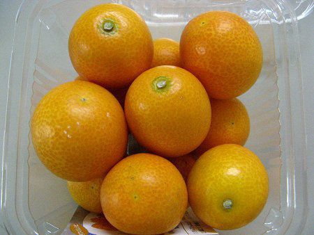 きんかん様 960px-Citrus_japonica2.jpg