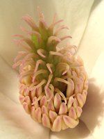 �n�N���N����(���ؘ@)