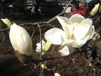 �n�N���N����(���ؘ@)