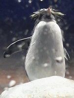 CgryM(؂񂬂)-Epson Aqua Stadium(2008N621)