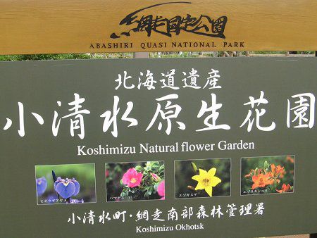 世界谷地原生花園