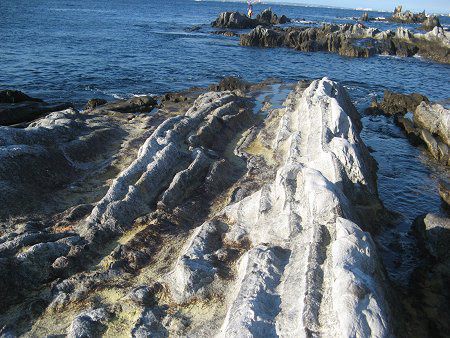 内房海釣り 09年1月4日 かぎけんweb 内房海釣り 09年1月4日 かぎけんweb
