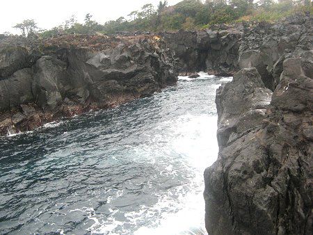 城ヶ崎海岸k 磯釣り09年3月1日