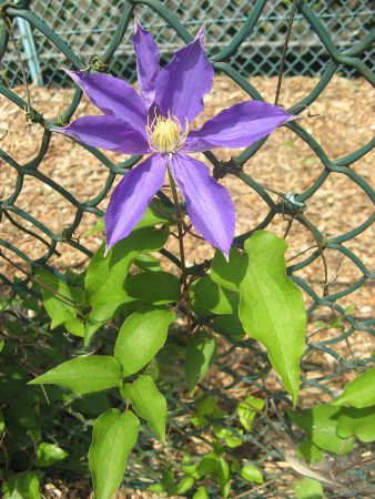 N}`X P/L 'PEh[\'(C.P/L 'Ken Dorson')