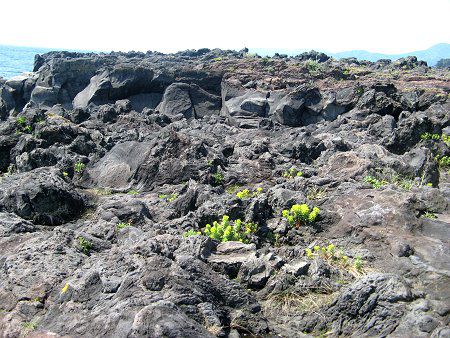 城ヶ崎海岸k 磯釣り09年5月10日