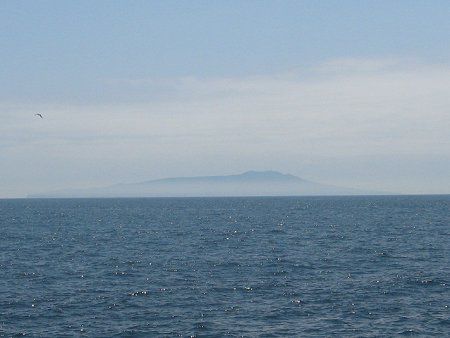 城ヶ崎海岸k 磯釣り09年6月7日 かぎけんweb