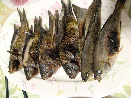 �މʂ̗���20