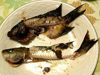 �މʂ̗���23