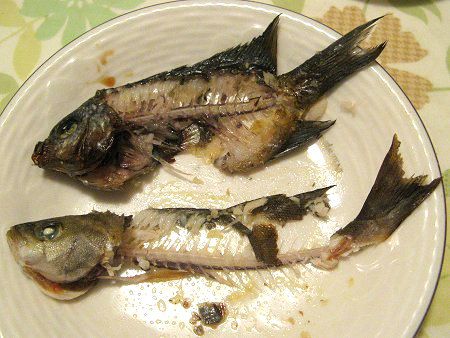 �މʂ̗���23