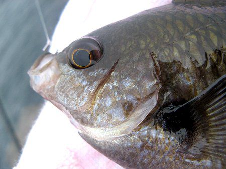 �X�Y���_�C6