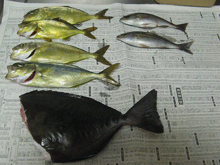 މʁ|VbR(q)4AE{E2AjU_C1 