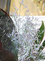 nCubhEjE(Hybrid Limonium) 