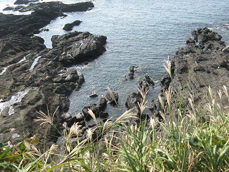 内房海釣り 09年10月4日 かぎけんweb 内房海釣り 09年10月4日 かぎけんweb