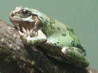 �j�z���A�}�K�G���i���{�J�^�j