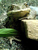 �i�K���q�L�K�G���i��寊^�j