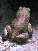 �~���R�q�L�K�G��