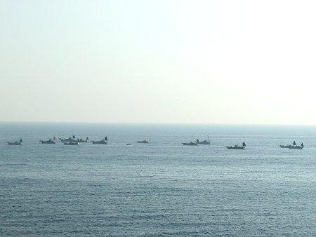城ヶ崎海岸磯釣り09年10月31日
