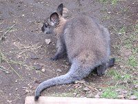 �x�l�b�g�A�J�N�r�����r�[6