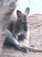 �x�l�b�g�A�J�N�r�����r�[8