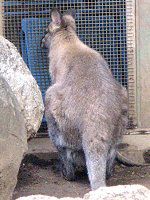 �x�l�b�g�A�J�N�r�����r�[9