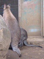 �x�l�b�g�A�J�N�r�����r�[0