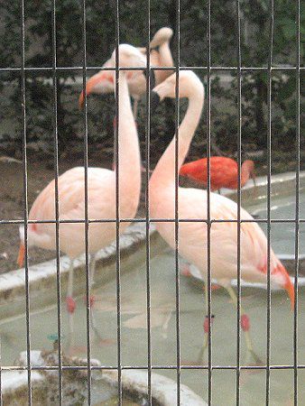 江戸川自然動物園