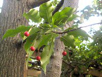 �\���S(�~��)