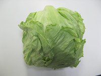 どこか産レタス レタス・リーフレタスの商品一覧｜野菜の種｜ホームセンター