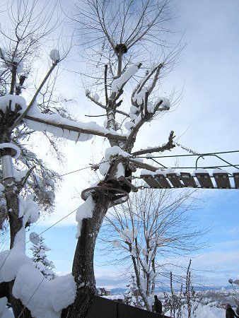 VZbT[p_ilLesser pandaj