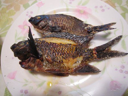 މʂ̒-XY_C̉Ăibeforej