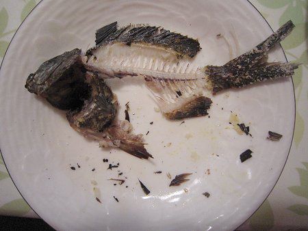 މʂ̒-XY_C̉Ăiafterj