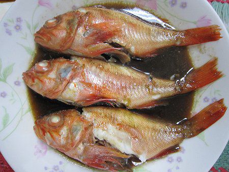 ゆめかさごページ ユメカサゴ - WEB魚図鑑