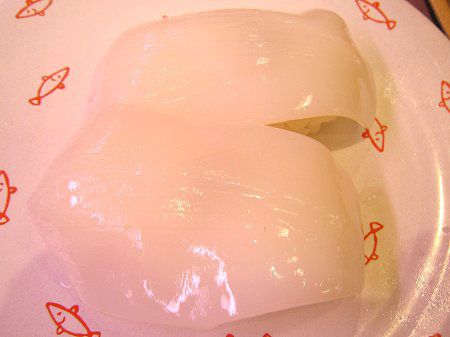 コウイカ 甲烏賊 かぎけんweb コウイカ 甲烏賊 かぎけんweb