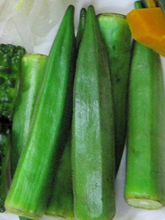 オクラ Okra かぎけんweb