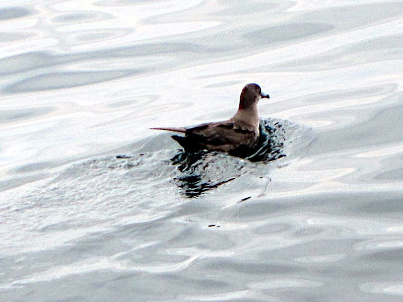 �Y�i�M�h��