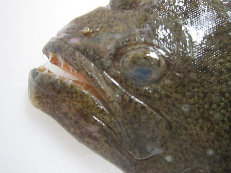 �q����(�)