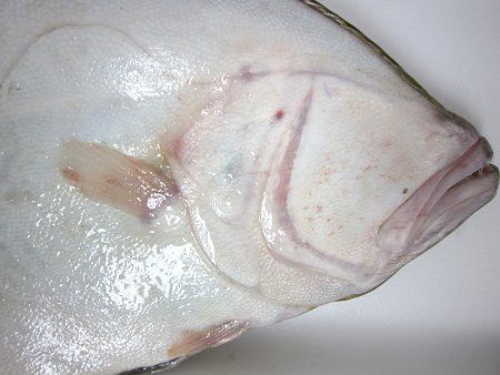 �q����(�)