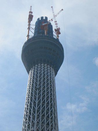 Sky Tree2(93)