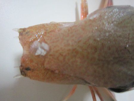 �J�i�K�V������