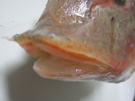 �J�i�K�V������