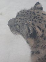 ���L�q���E�i��^�j