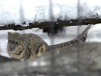 ���L�q���E�i��^�j