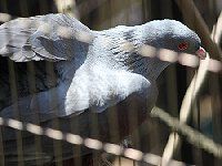 �I�I�I�~�J�h�o�g