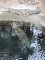 �A�t���J�N�`�i�K���j