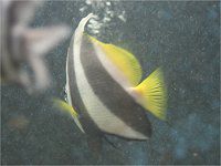 �����n�^�^�e�_�C