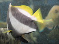 �����n�^�^�e�_�C