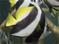 �����n�^�^�e�_�C