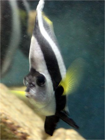 �����n�^�^�e�_�C