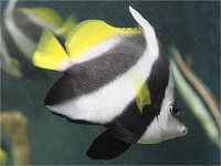 �����n�^�^�e�_�C